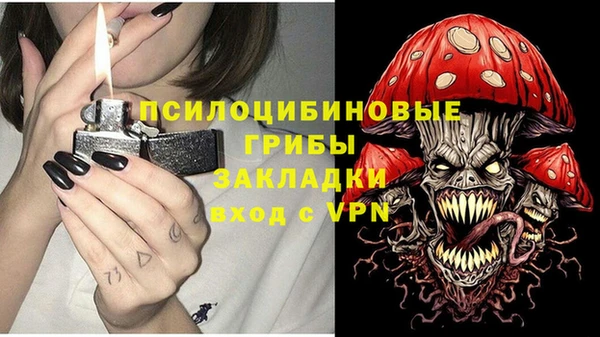 spice Алексеевка