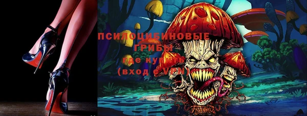 молекула духа Абинск