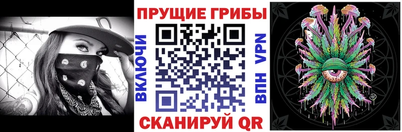 Галлюциногенные грибы Magic Shrooms  дарнет шоп  KRAKEN tor  Зеленокумск 