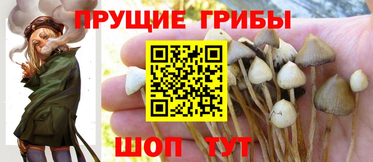 Зеленокумск  Псилоцибиновые грибы MAGIC MUSHROOMS  купить закладку  Вход с VPN 